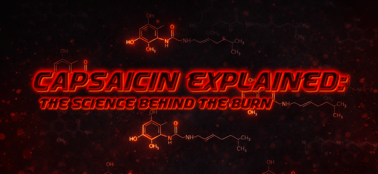 Capsaicin Explained: The Science Behind The Burn